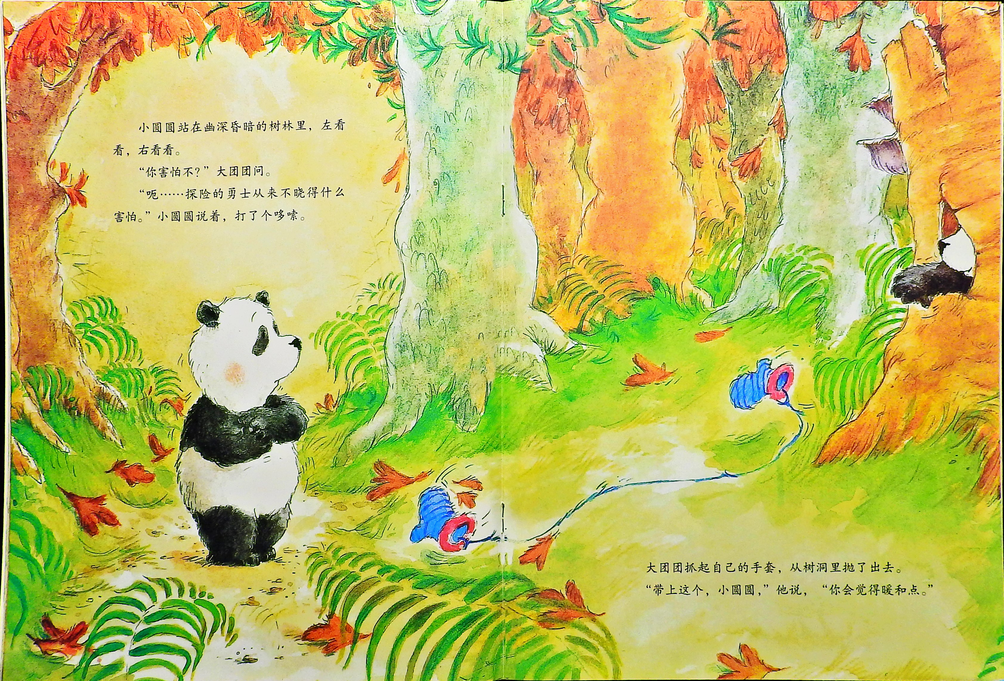 大团团和小圆圆 (10),绘本,绘本故事,绘本阅读,故事书,童书,图画书,课外阅读